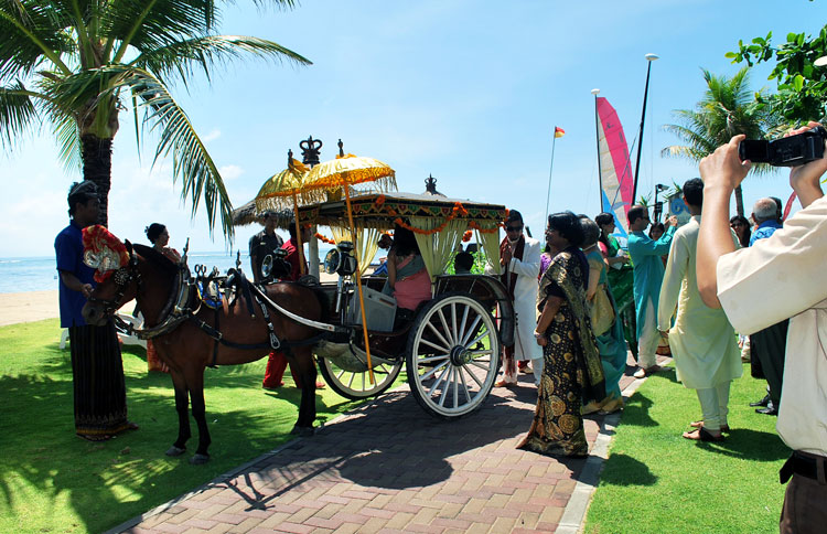 Specially curated of our Indian Wedding in Bali